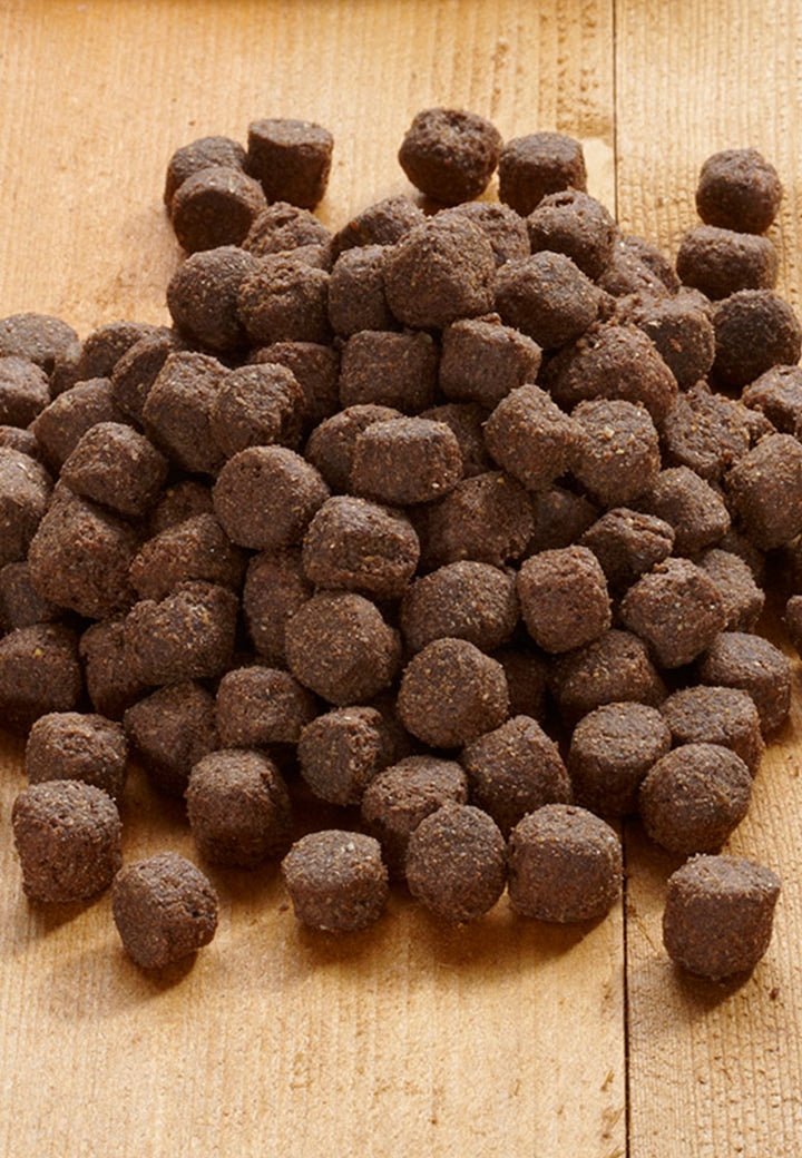 Basic Plain - Vet Concept