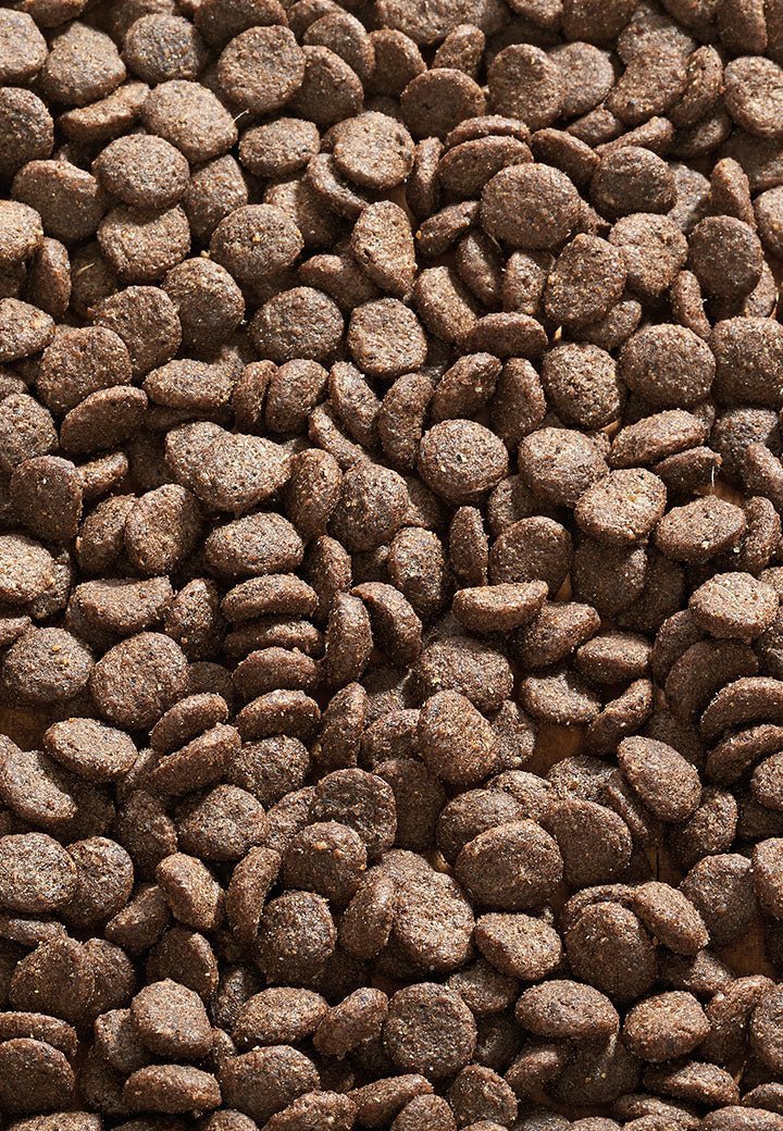 Cat Allergy Kani - Vet Concept