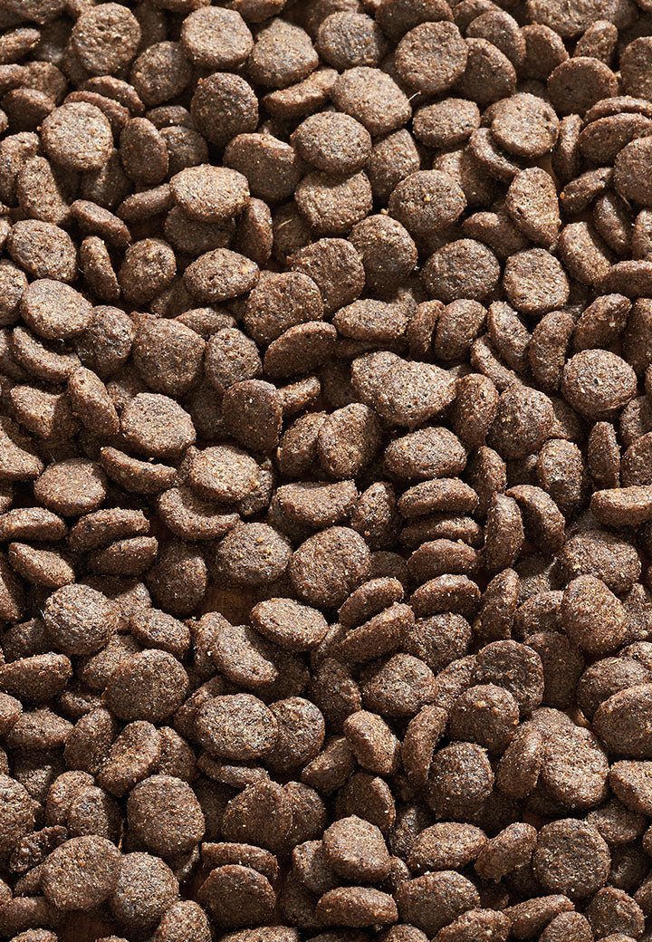 Cat Allergy Taimen - Vet Concept