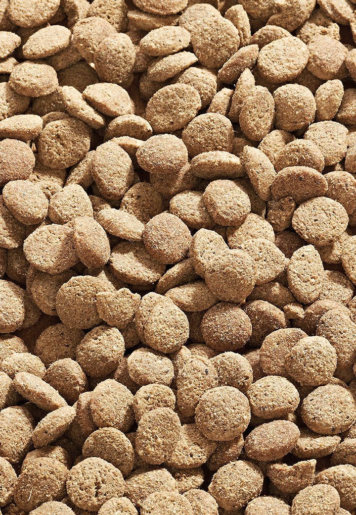 Cat Low Carb - Vet Concept