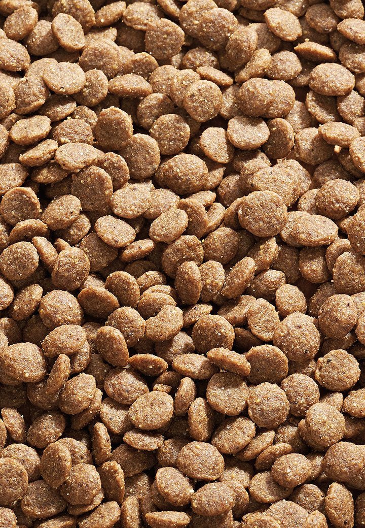 Cat Low Protein - Vet Concept