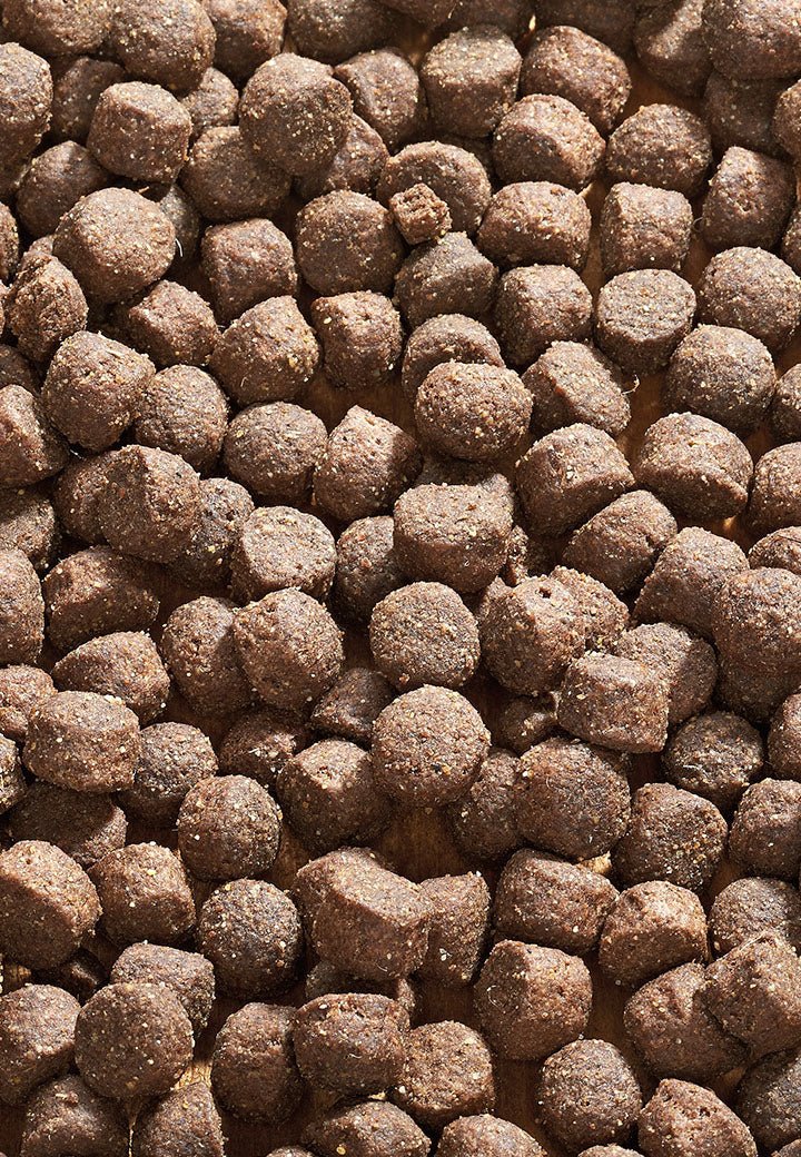 Cat Maxi - Vet Concept