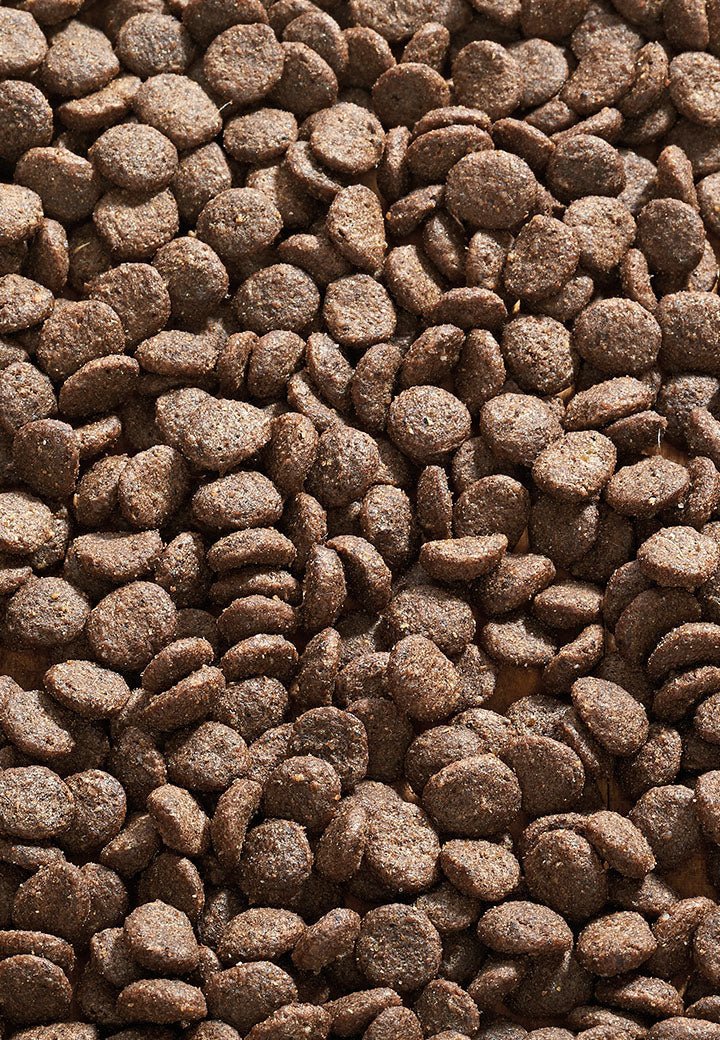 Cat Sana Hyönteinen - Vet Concept