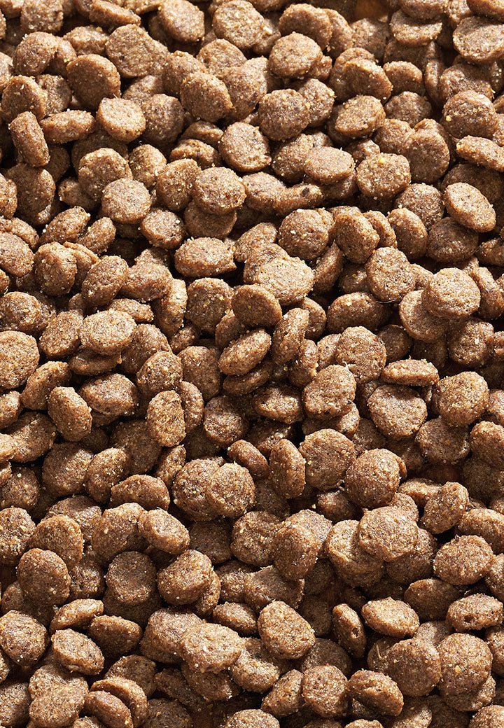 Cat Senior - Vet Concept