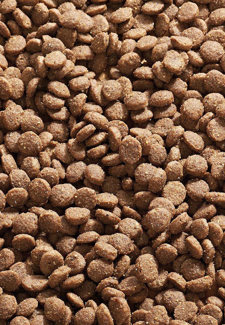 Cat Young Sensitive - Vet Concept