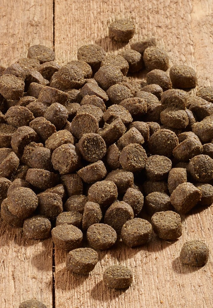 Dog Low Carb - Vet Concept