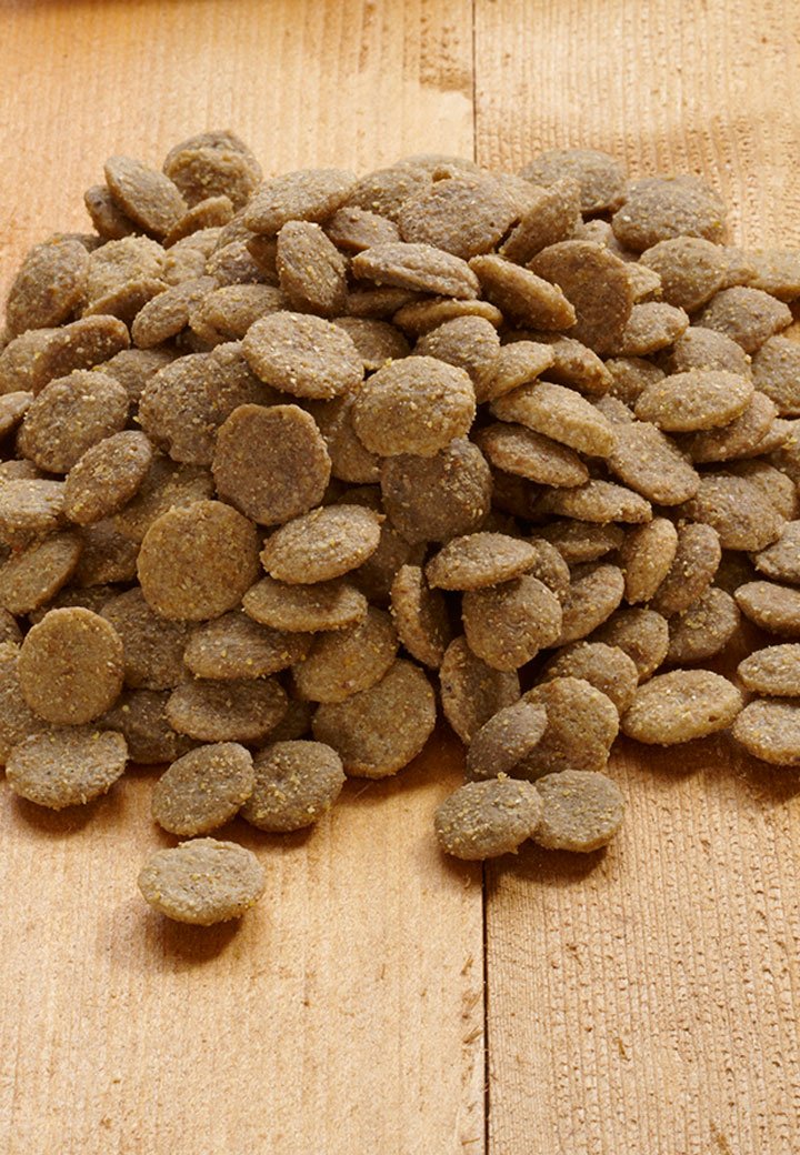 Dog Low Protein - Vet Concept