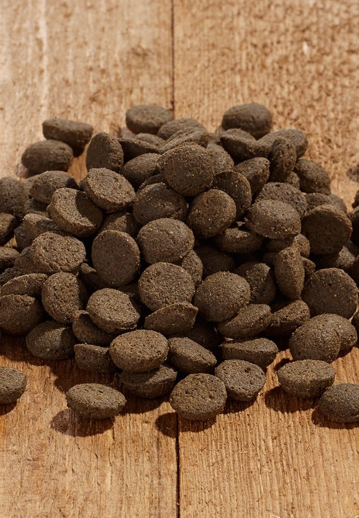 Dog Sana Hermetia - Vet Concept