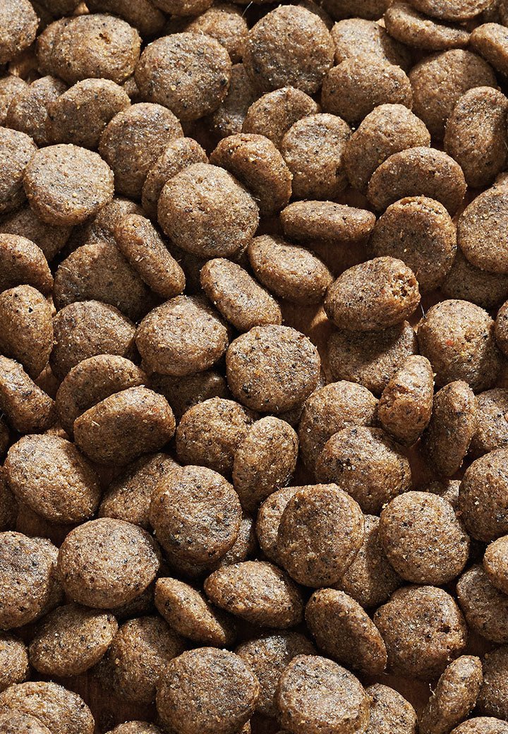 Dog Sana Hevonen Mini - Vet Concept