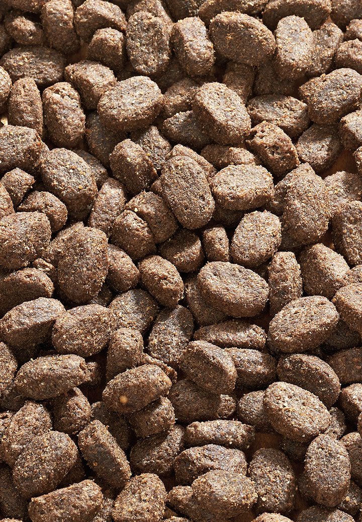 Dog Sana Puhveli MINI - Vet Concept