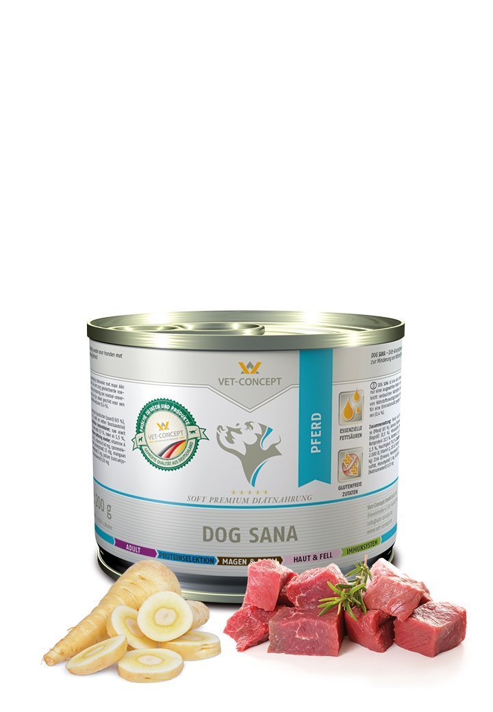 Koiramenu Sana Hevonen