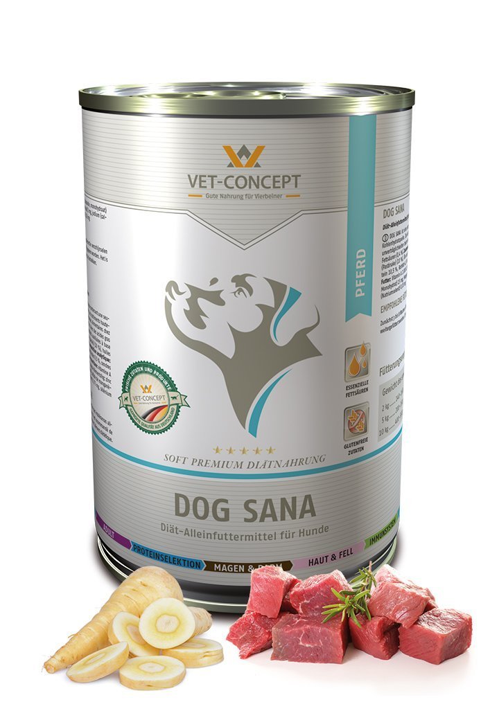 Koiramenu Sana Hevonen