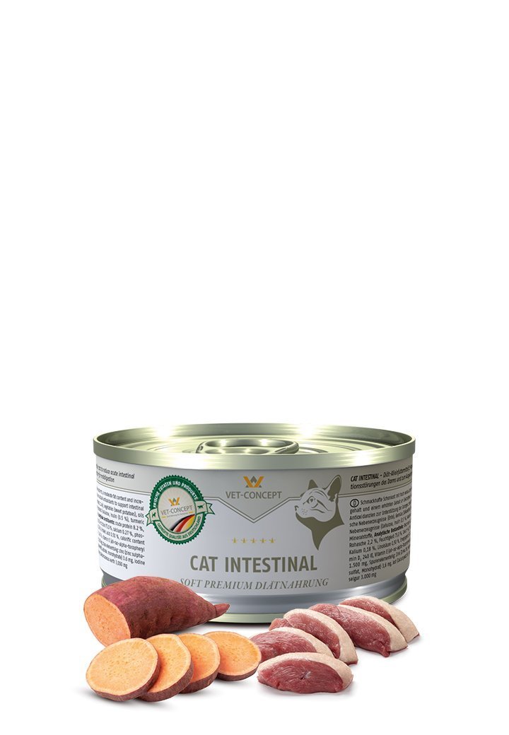 Kissamenu Intestinal
