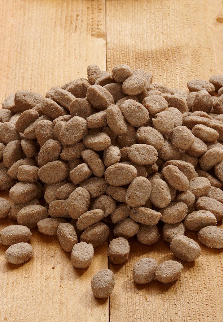 Lamb Pack - Vet Concept