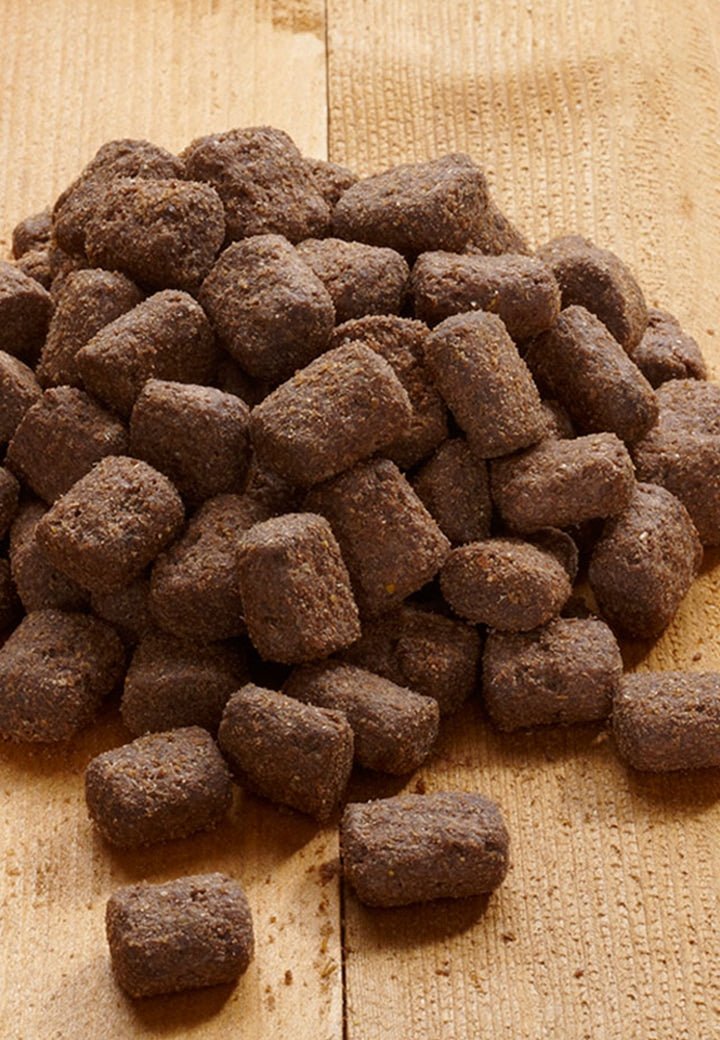 Maxi Plain - Vet Concept