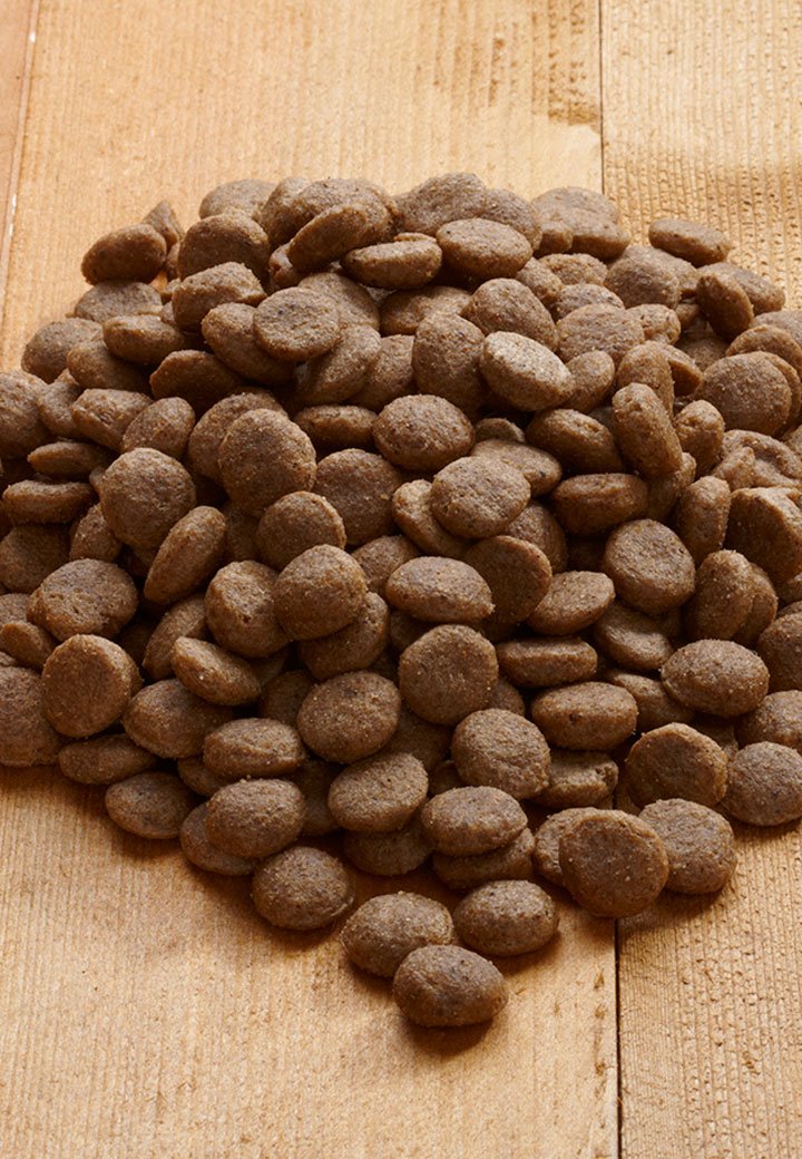 Salmon Pack - Vet Concept