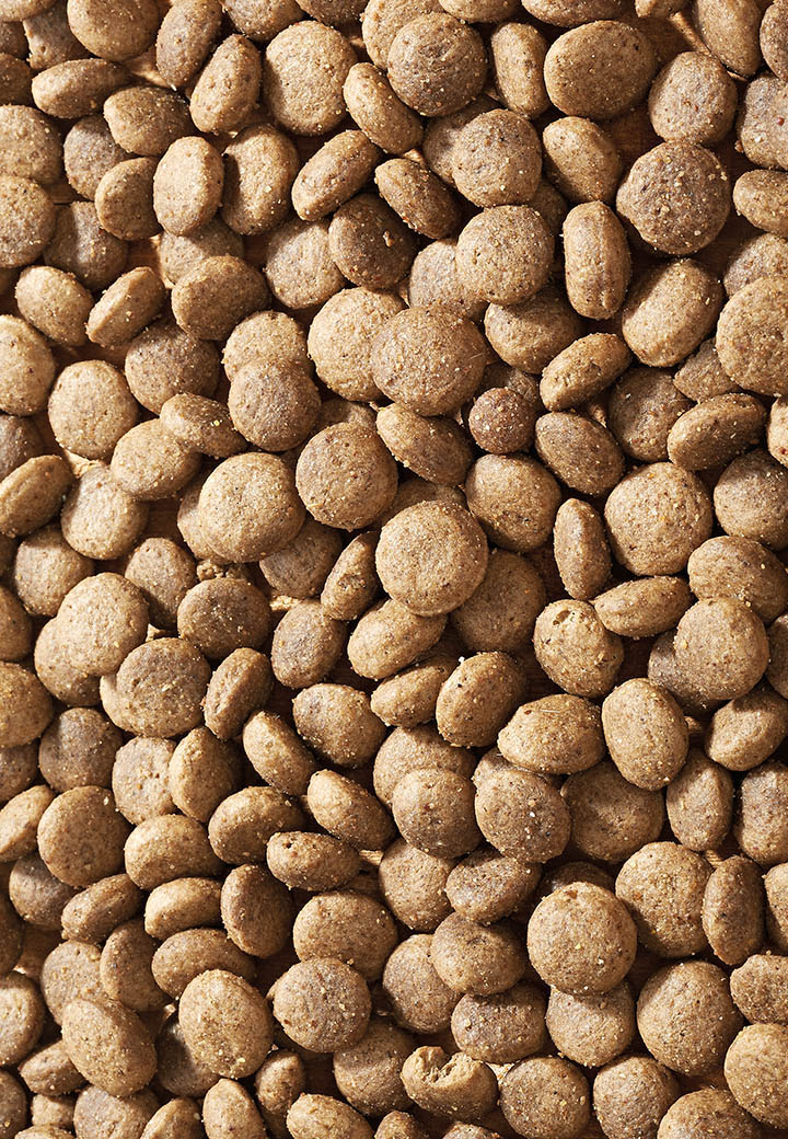 Salmon Pack Mini - Vet Concept