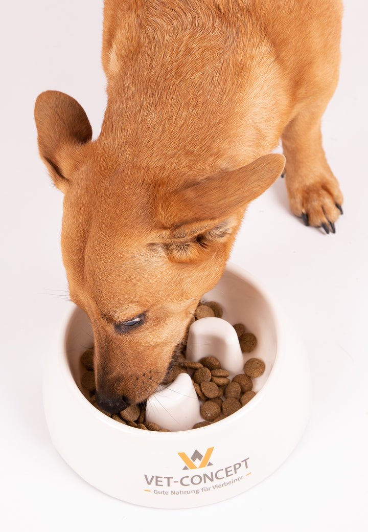 Vet-Concept Ahmimisenestokuppi - Vet Concept