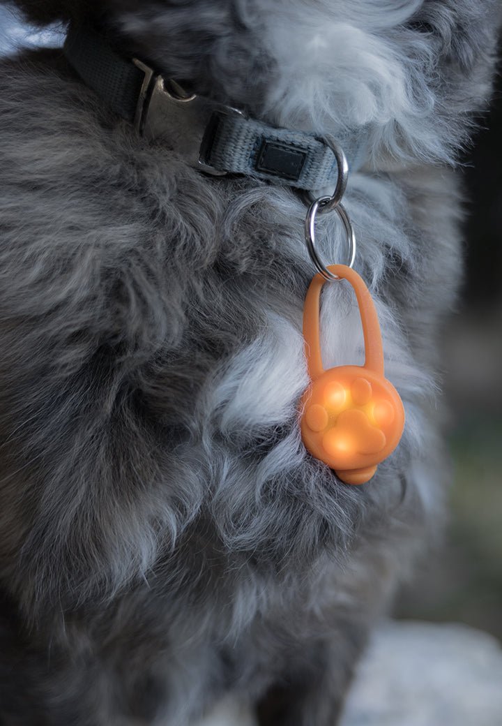 Vet-Concept huomiovalo - Vet Concept