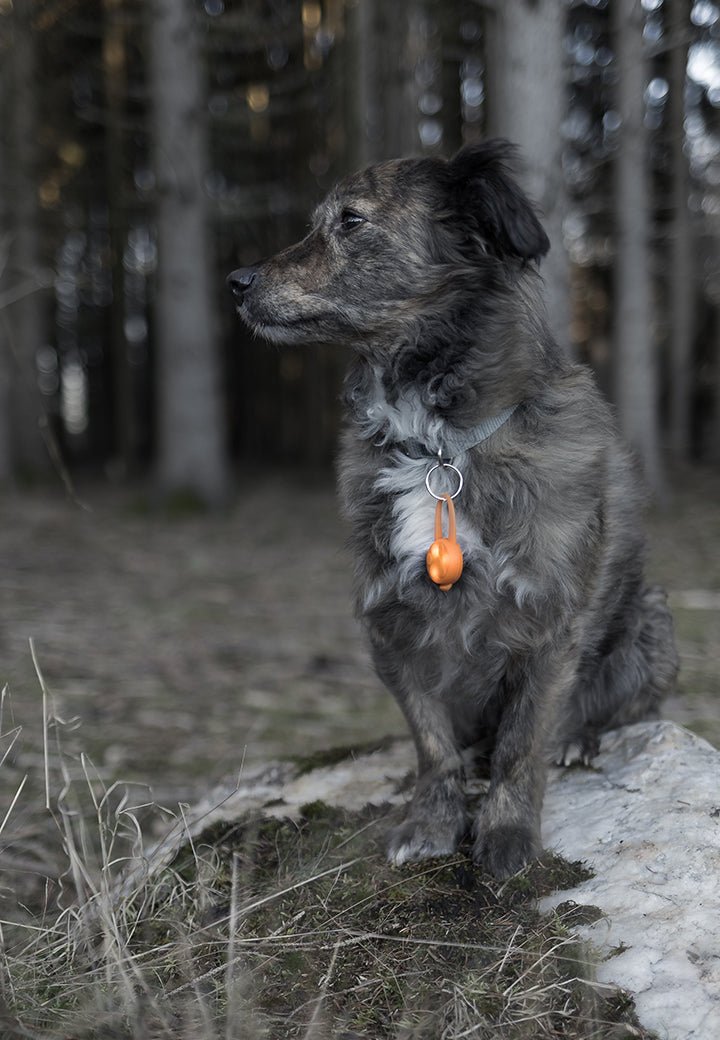 Vet-Concept huomiovalo - Vet Concept