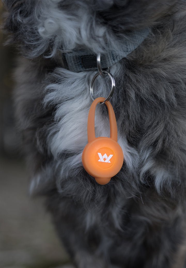 Vet-Concept huomiovalo - Vet Concept