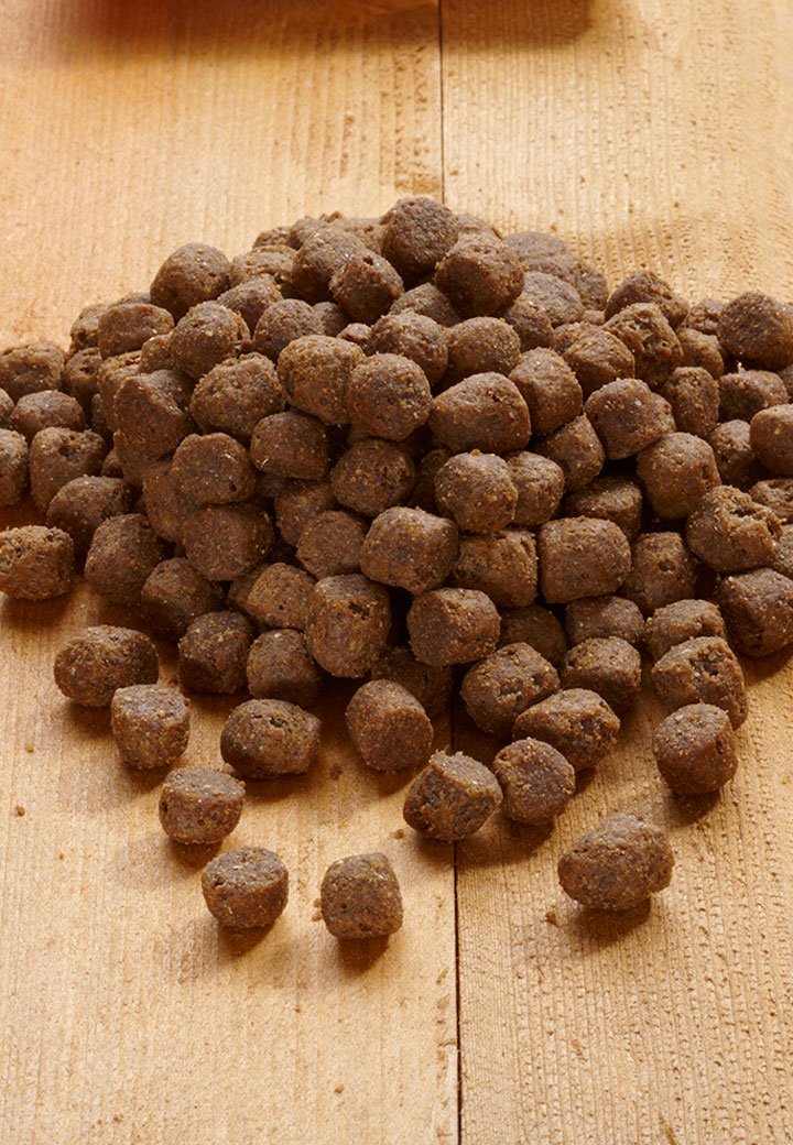 Young Pack Maxi - Vet Concept