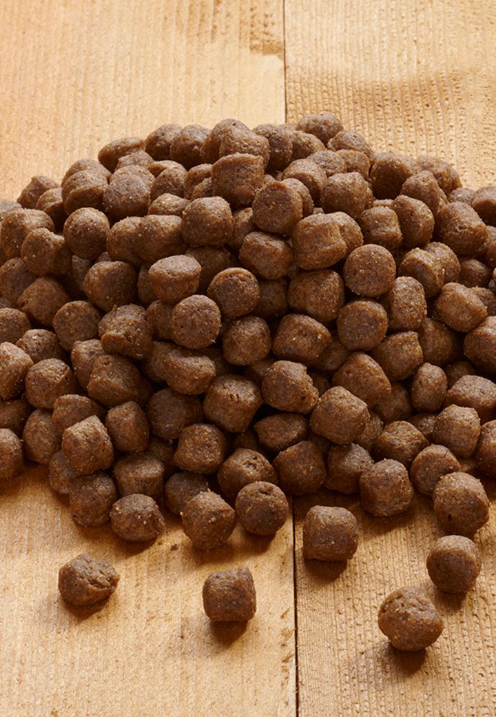 Young Pack Midi - Vet Concept