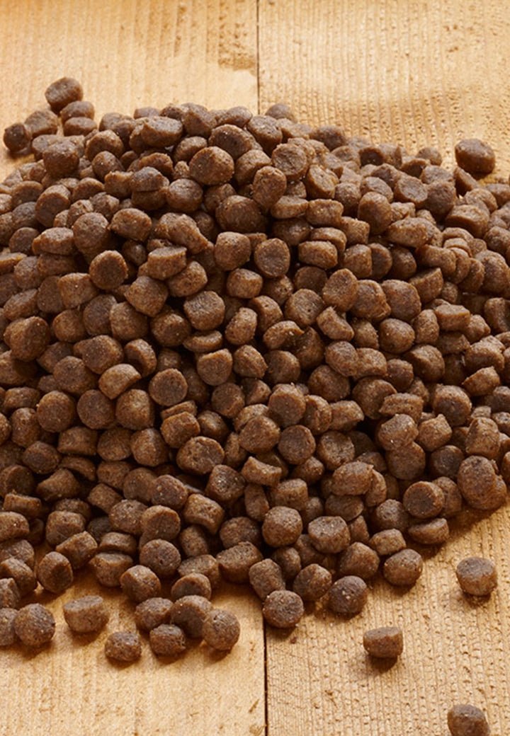 Young Pack Mini - Vet Concept