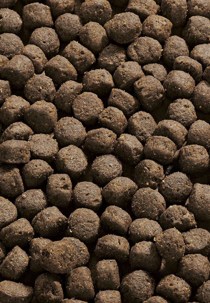 Young Pack Sensitive Maxi - Vet Concept