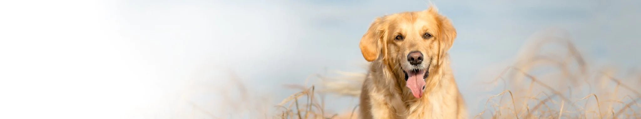 Valikoidut Proteiinit koiralle- Perua - Vet Concept